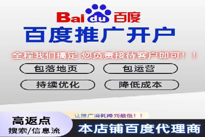 百度搜索推广案例集锦：实战技巧分享